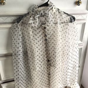 Sheer long sleeve dress blouse